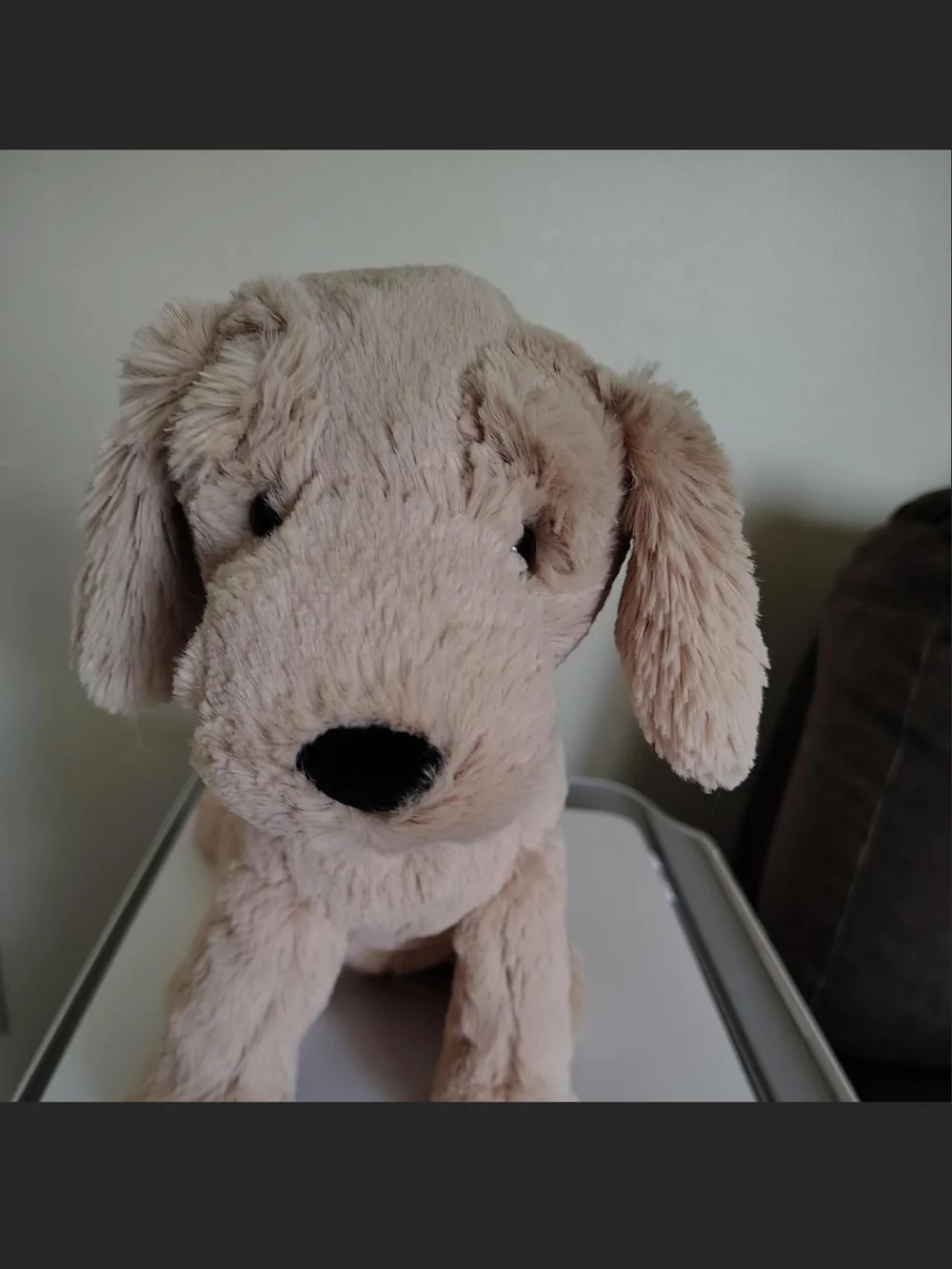 Jellycat Soft Beige Puppy Plush Dog Toy